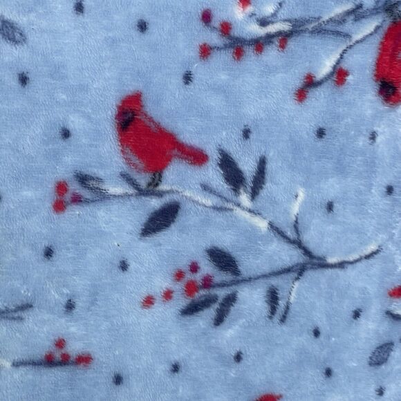 PinkK‎ Womens Sweater Plus Size 2X Fleece Cardinal Bird Nature V-neck Soft - Picture 3 of 11